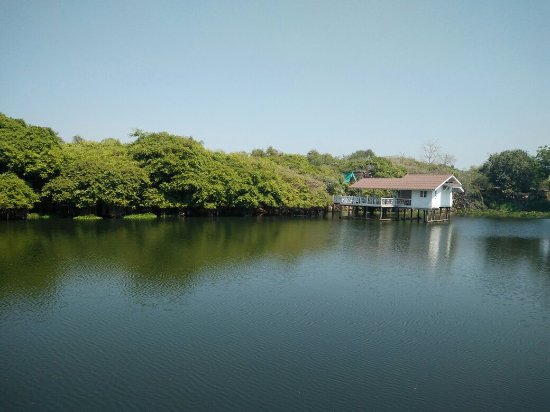 Sai Ngam