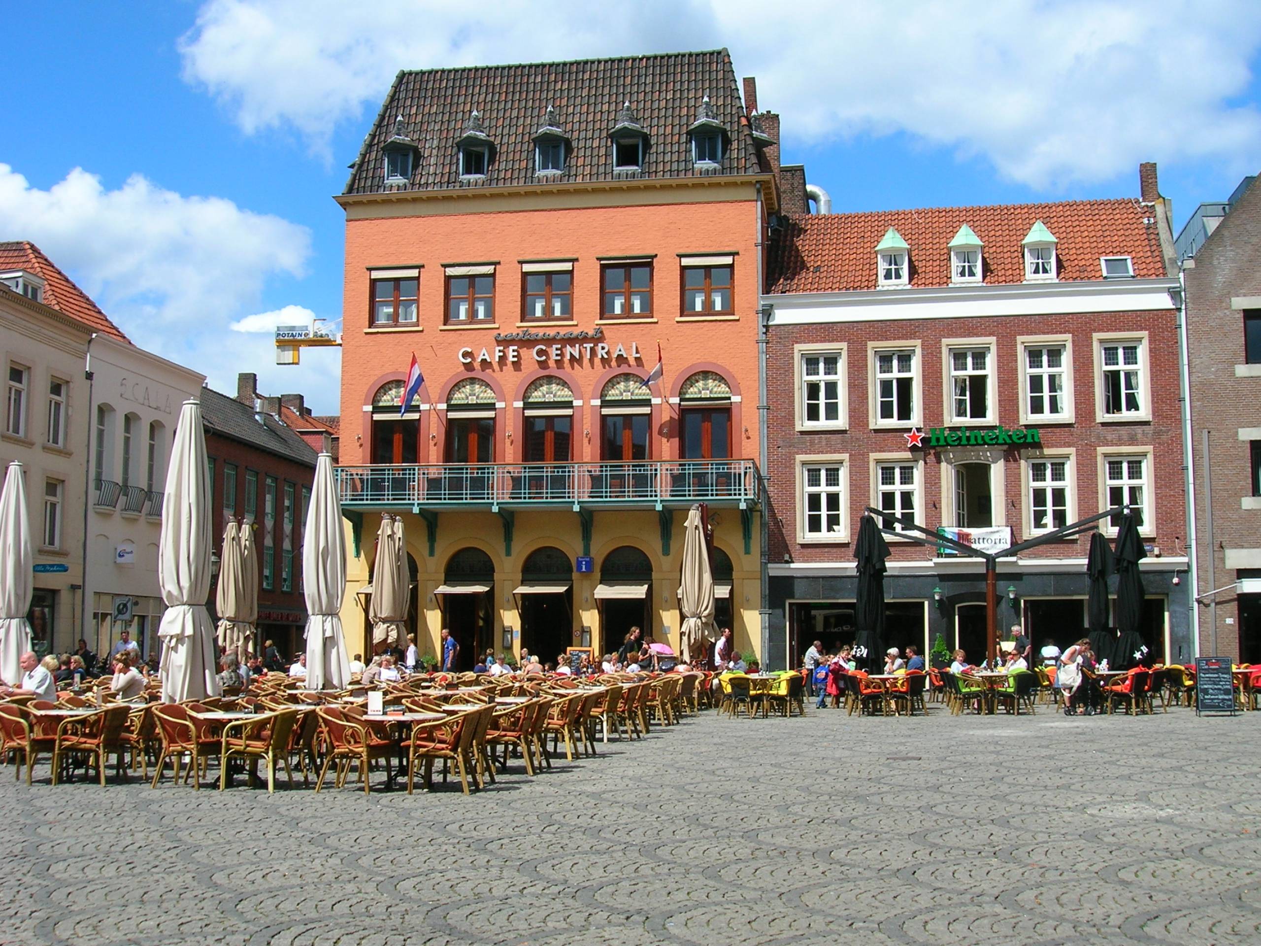 Gallery Wilms