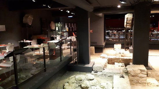 Derlon Museum Cellar