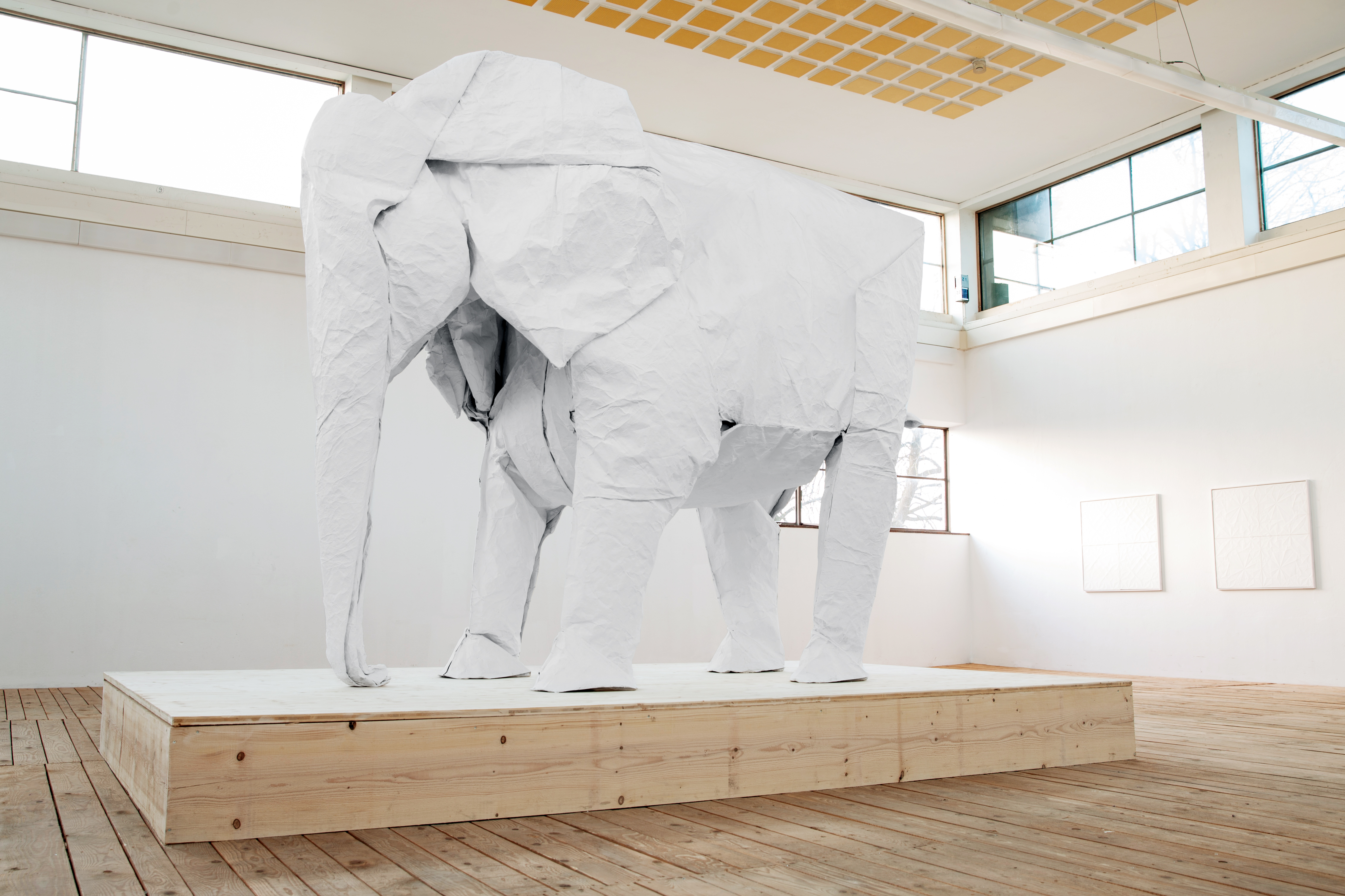 Amazing Elephant Dung Paper