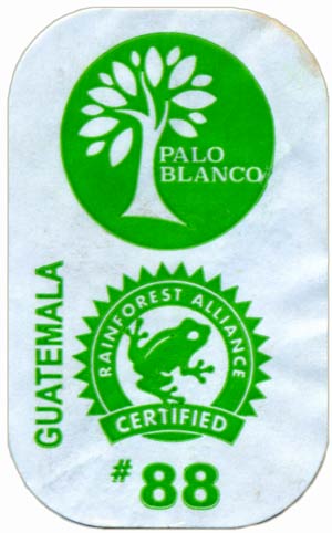 Palo Blanco