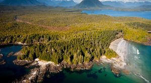 Great Bear Rainforest