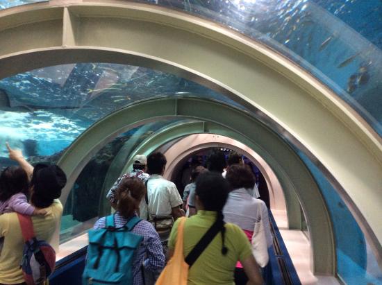 Aomori Asamushi Aquarium