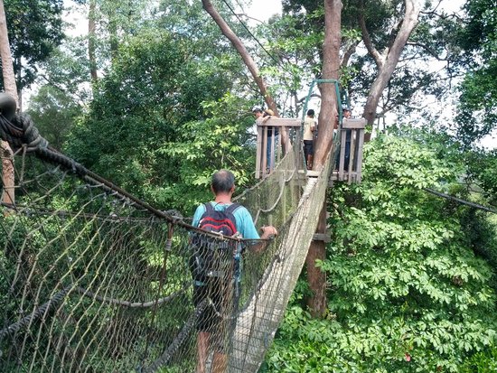Bangkirai Hill Nature Tourism