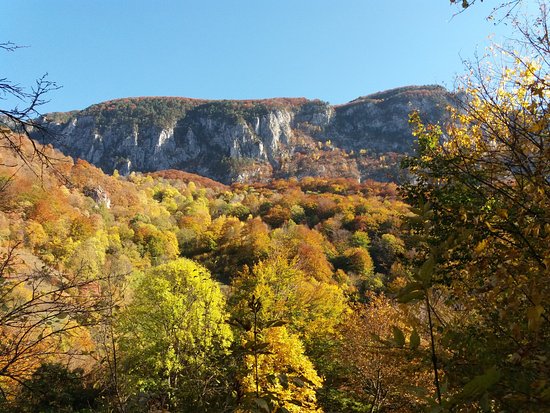 Cerna Valley
