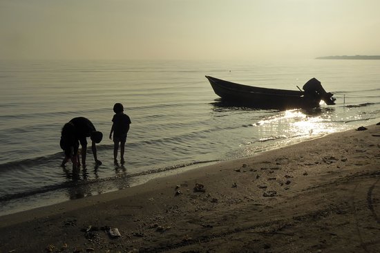 Caspian coastline