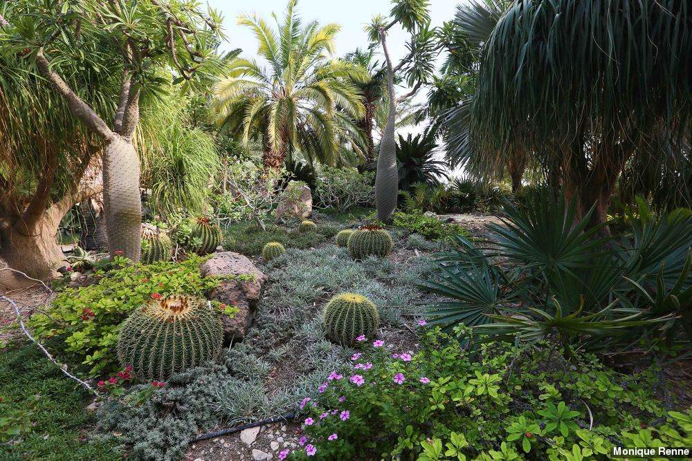 Ein Gedi Botanical Garden
