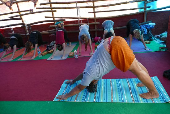 Alpeshyoga