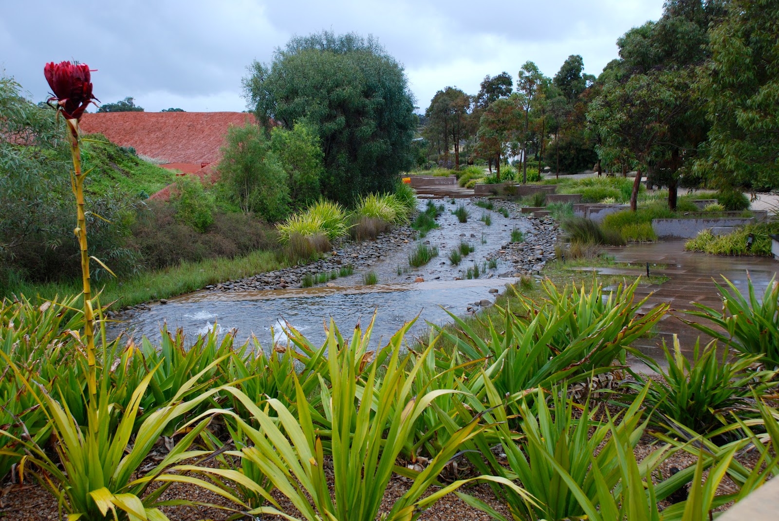 Australian Garden