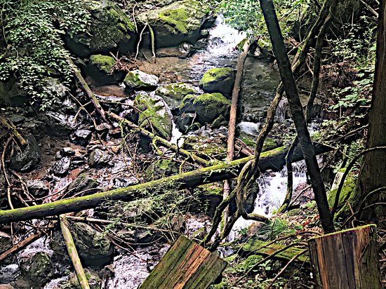 Kusagyu Otaki