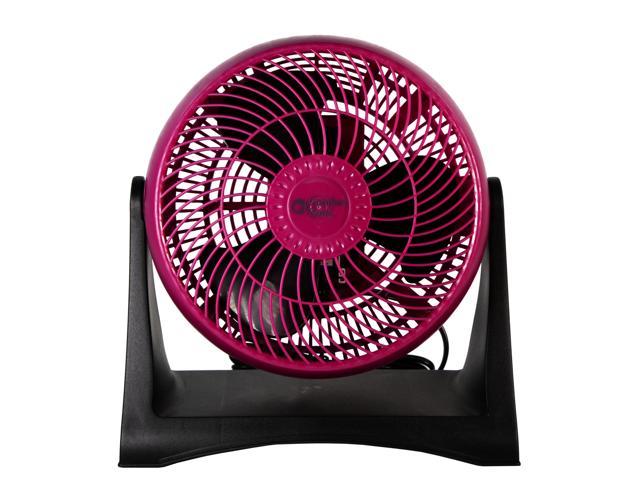 Berry's Fan