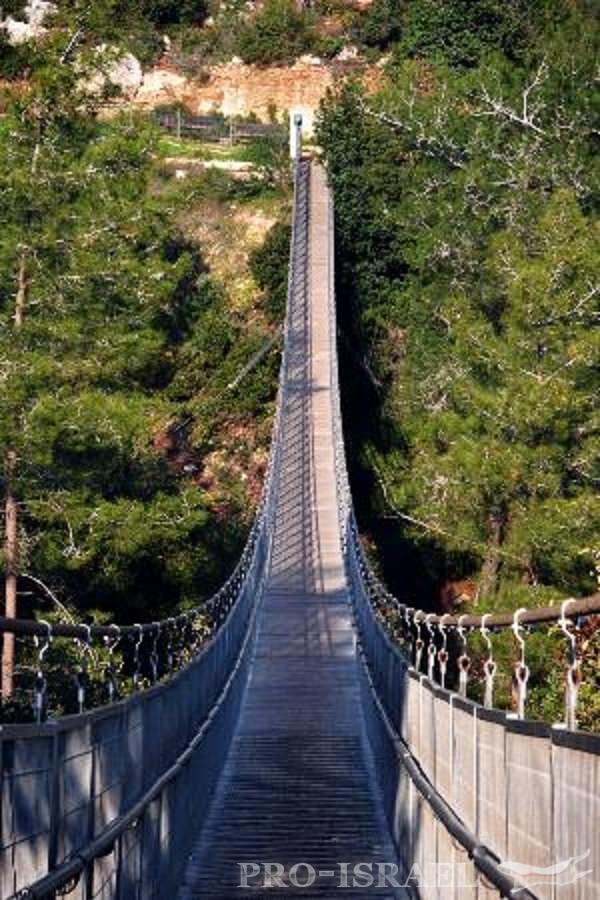 Hanging Bridge at Nesher Park