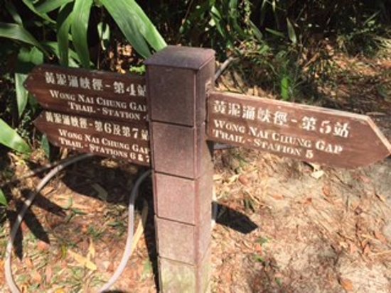 Wong Nai Chung Gap Trail