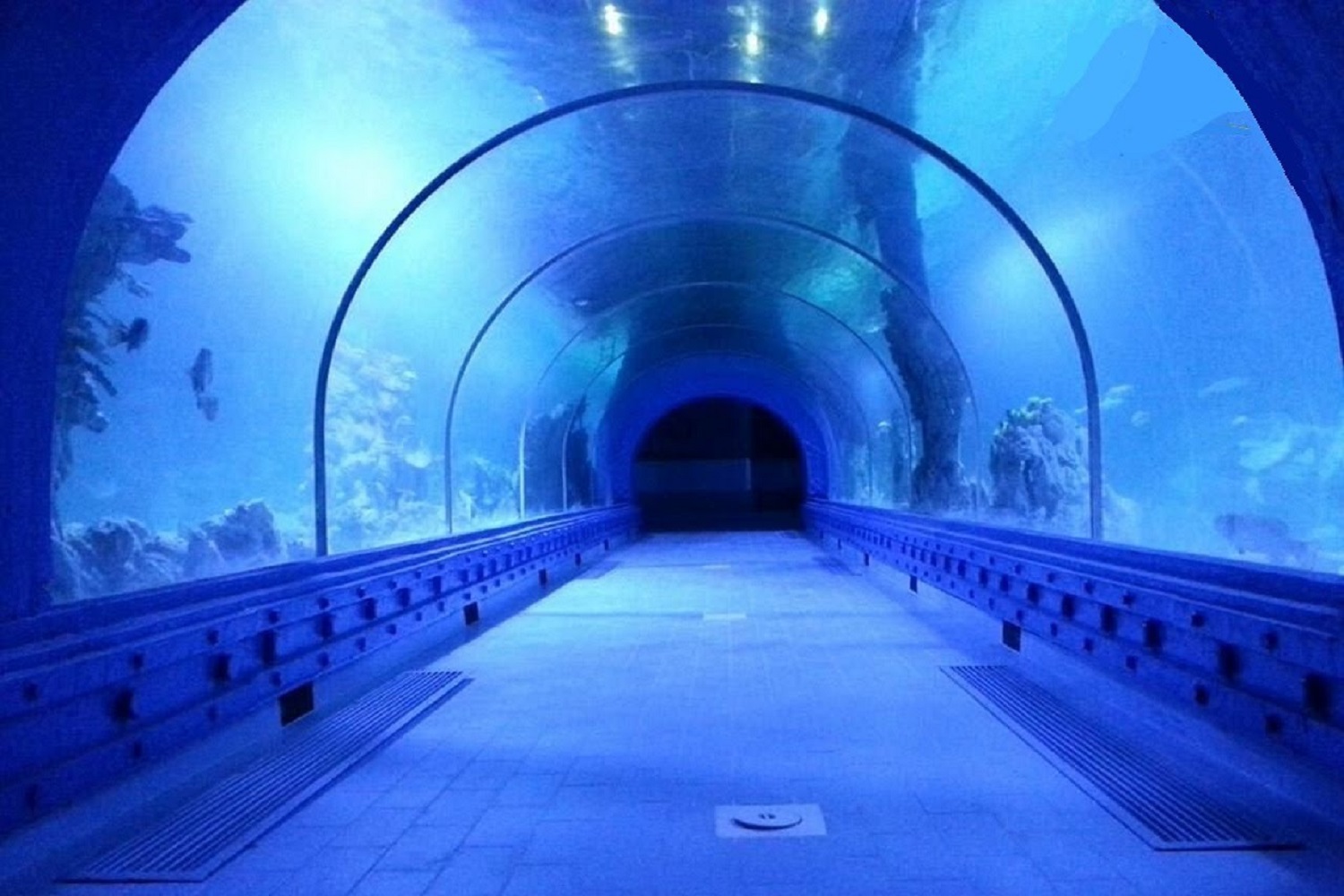 Hurghada Grand Aquarium