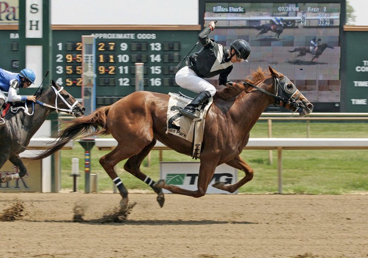 Ellis Park Race Course