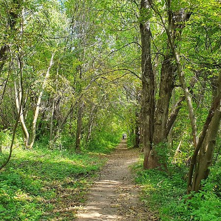 Zarechny Park