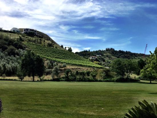 Hawkes Bay