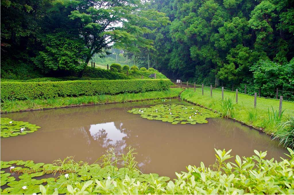 Yamanaka Castle Ruins