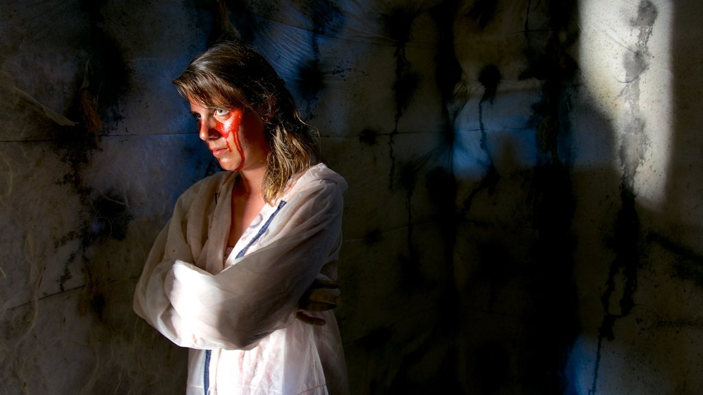Napier Prison Escape Rooms