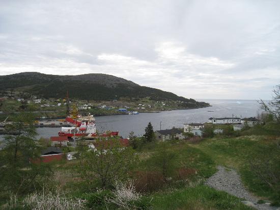 Outdoor Pictures 1