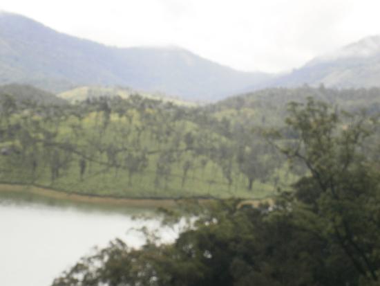 Mayura Ayurvedic Centre Munnar