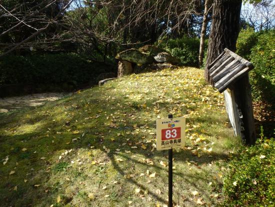 Kozan-ji Temple