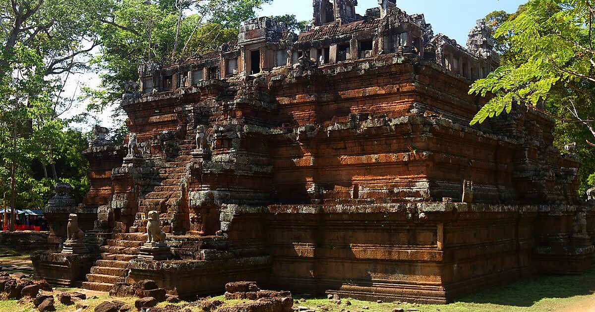 Graines De Cambodge