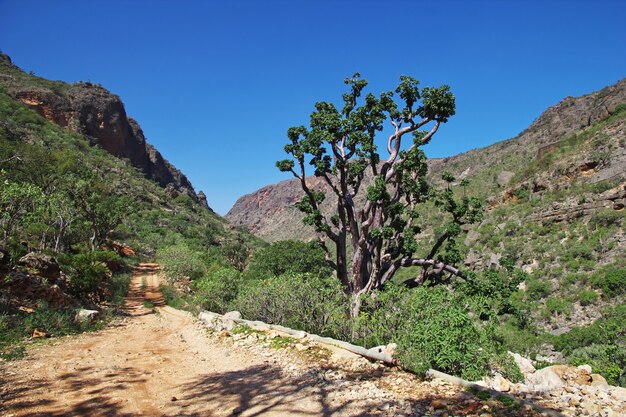 Ayhaft Canyon National Park