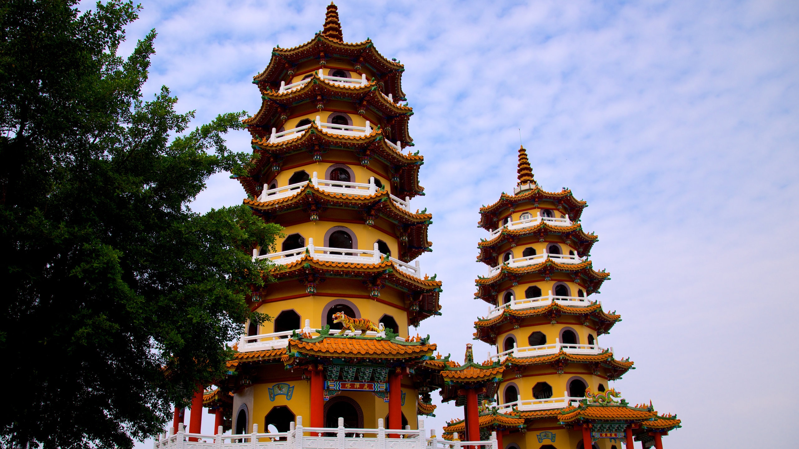 Dragon Tiger Tower