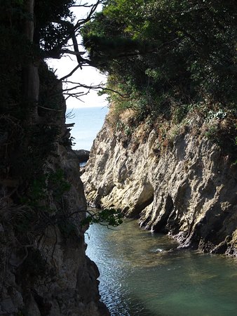 Arasaki Park