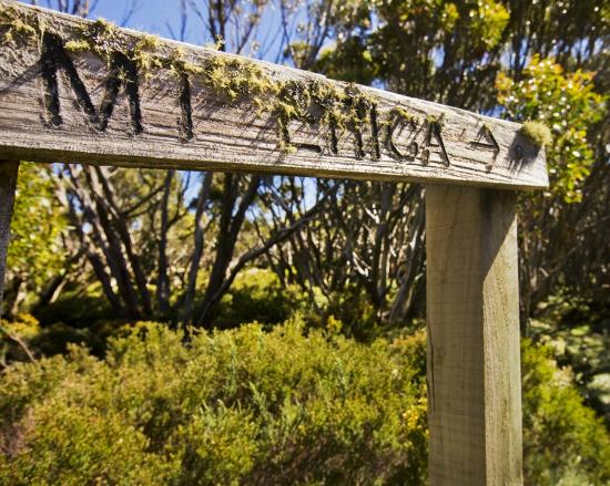 Great Walhalla Alpine Trail