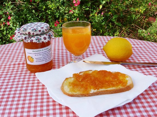 Agriturismo Limoneto