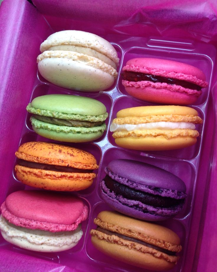 Macaroon's Nite Club