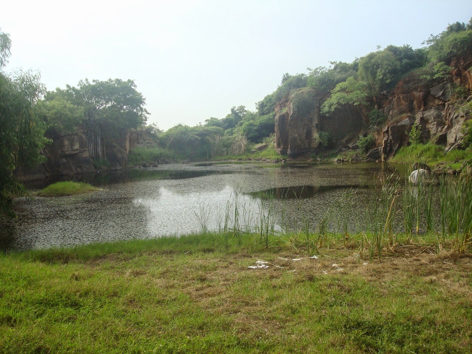 Nanmangalam Reserve Forest