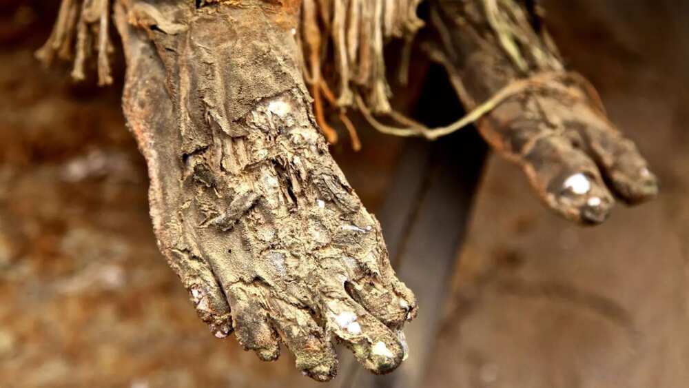 The Smoked Corpses of Aseki