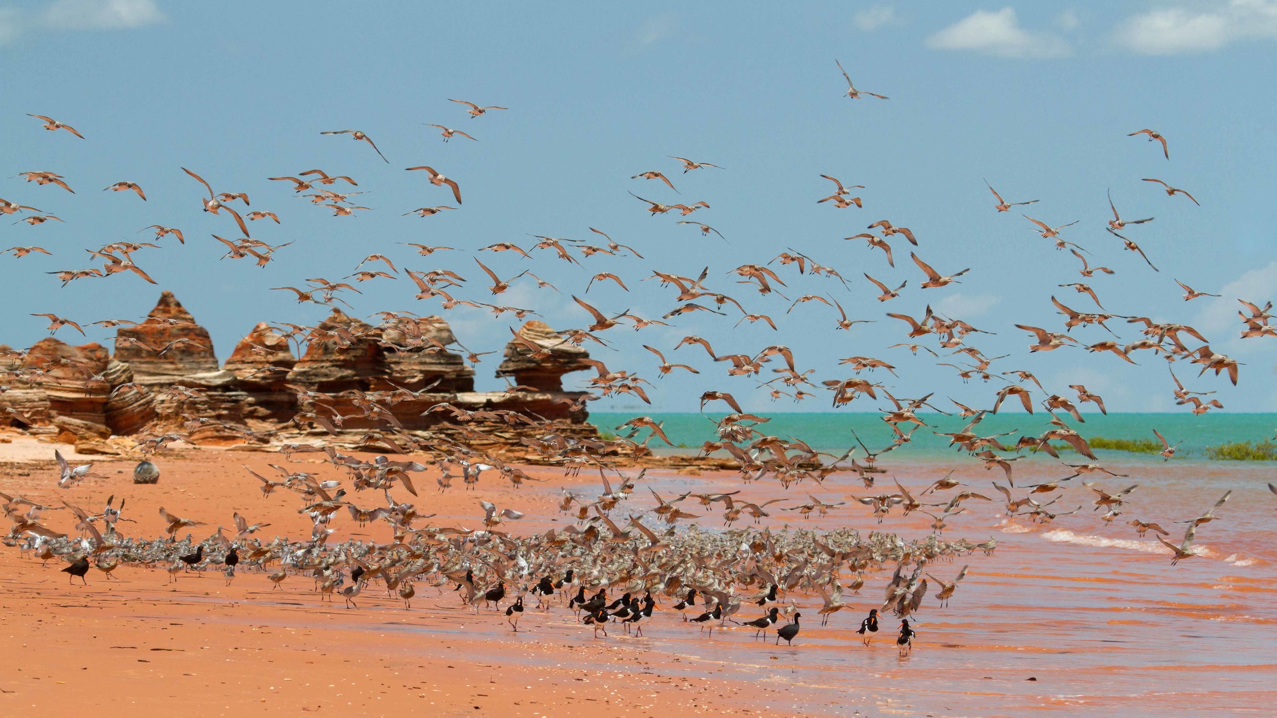 Broome Bird Observatory