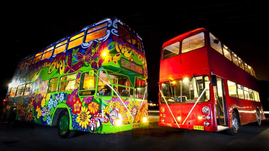Magic Bus - Byron Bay Sightseeing