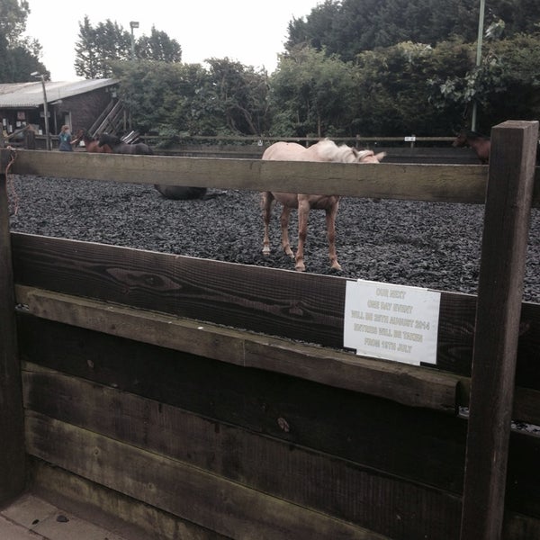 Glen Jakes Riding School
