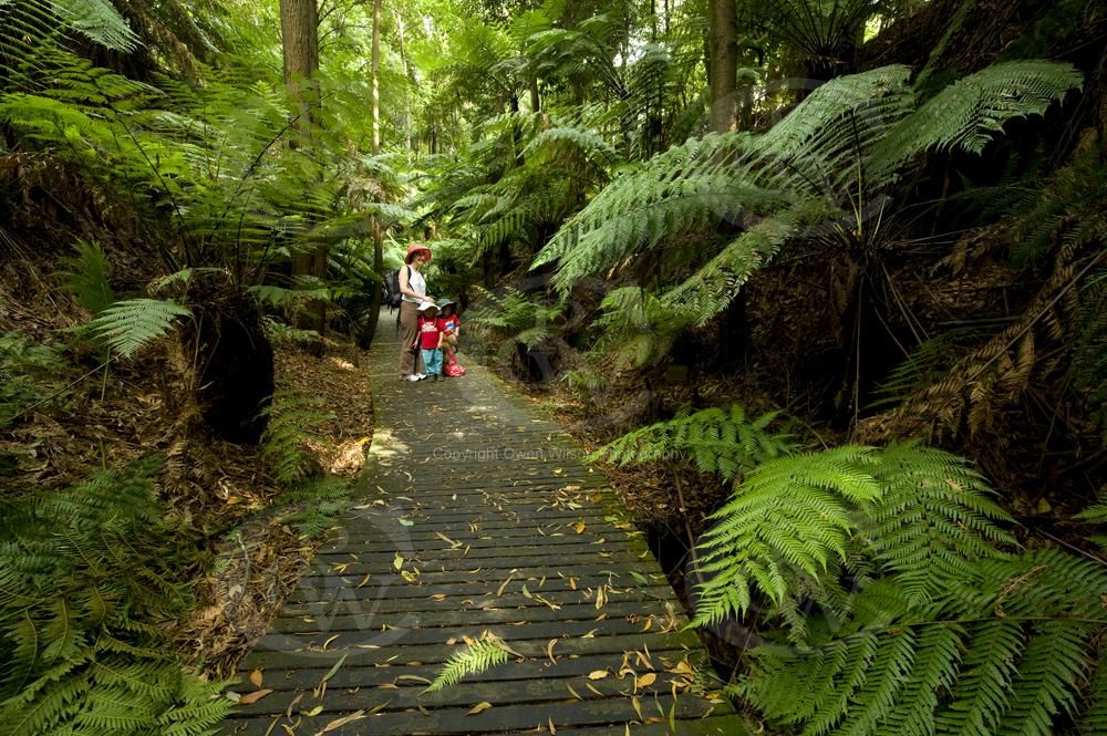 Australian National Botanic Gardens