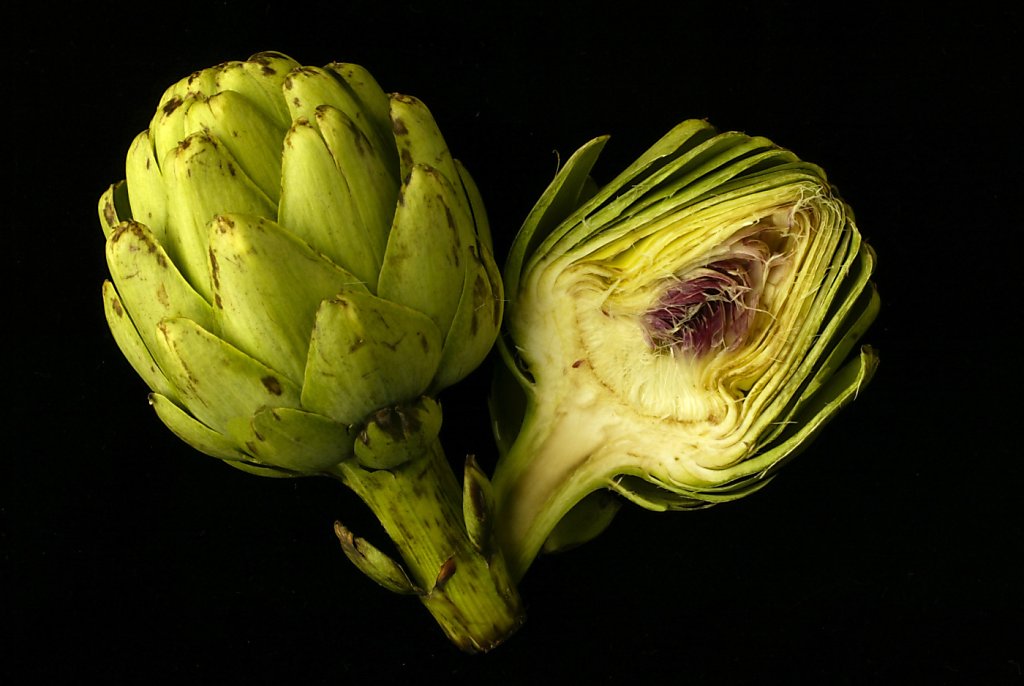 The Artichoke