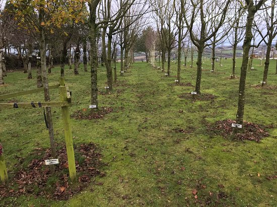 Ringfinnan Garden of Remembrance