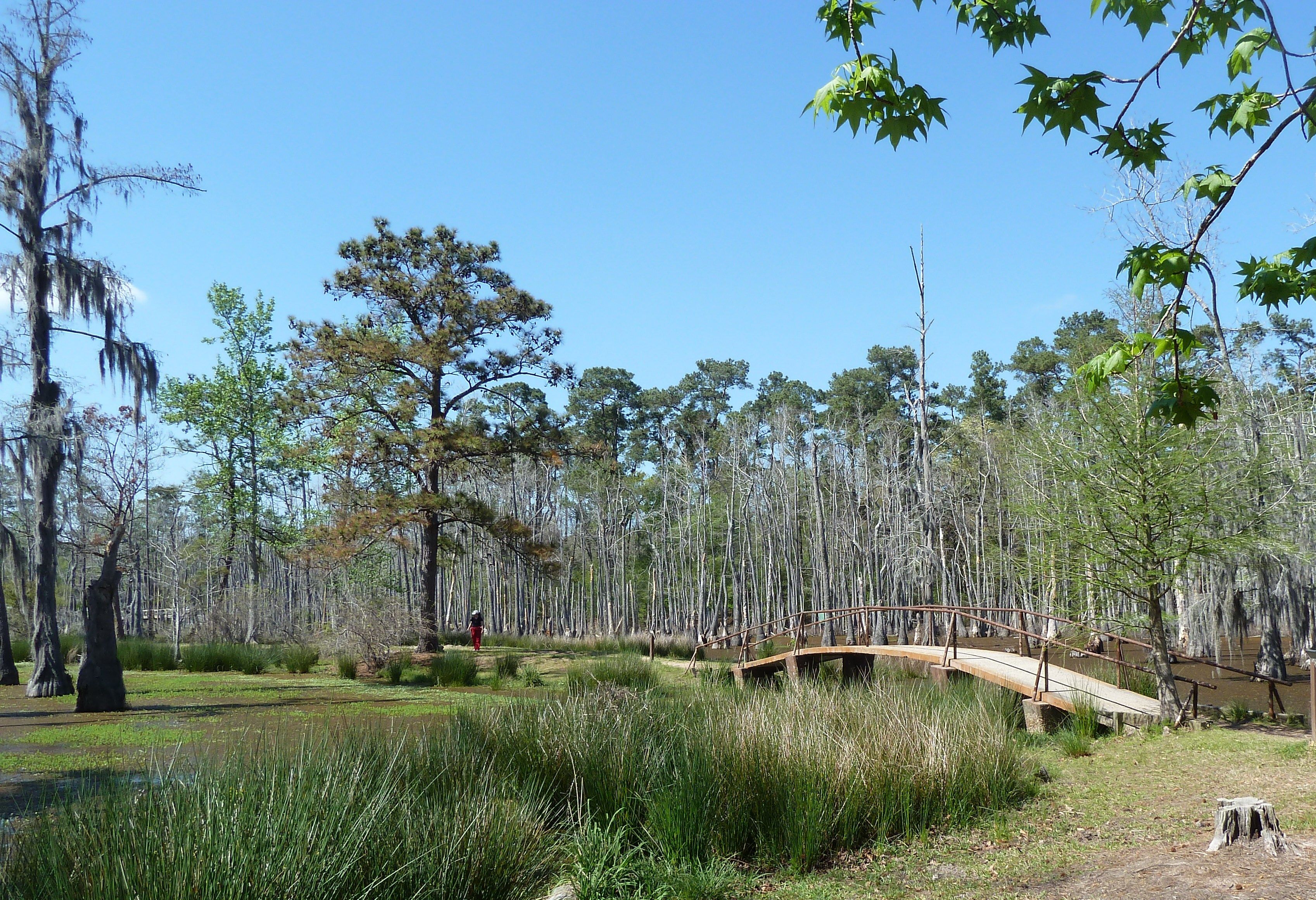 Sam Houston Jones State Park