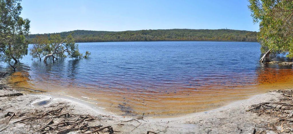 Brown Lake