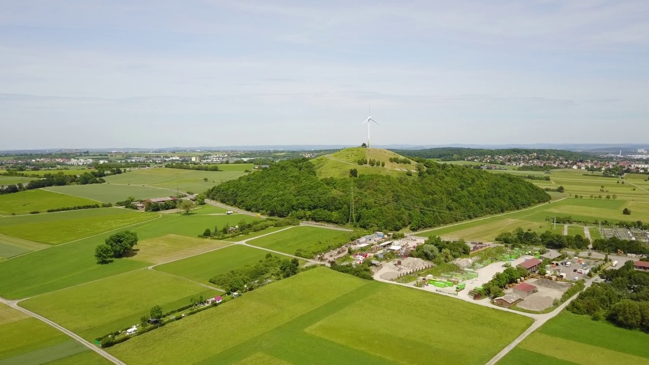 Grüner Heiner