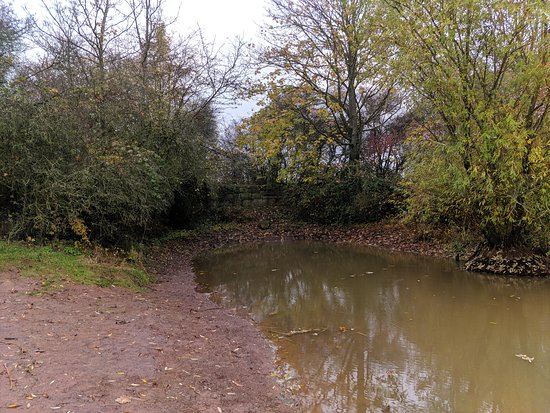 Rossweiher