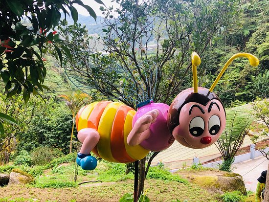 Ee Feng Gu Bee Farm