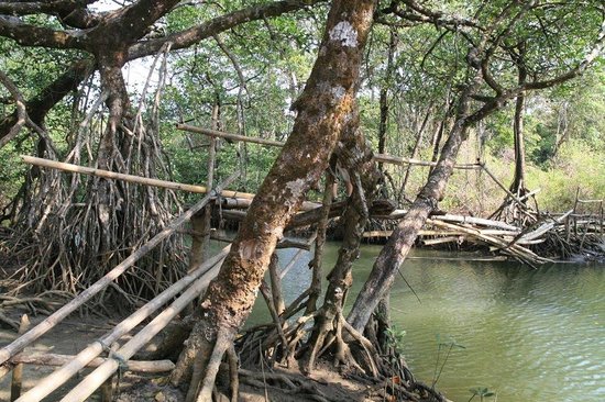 Ujung Kulon National Park