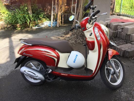 Bali Bike Rental