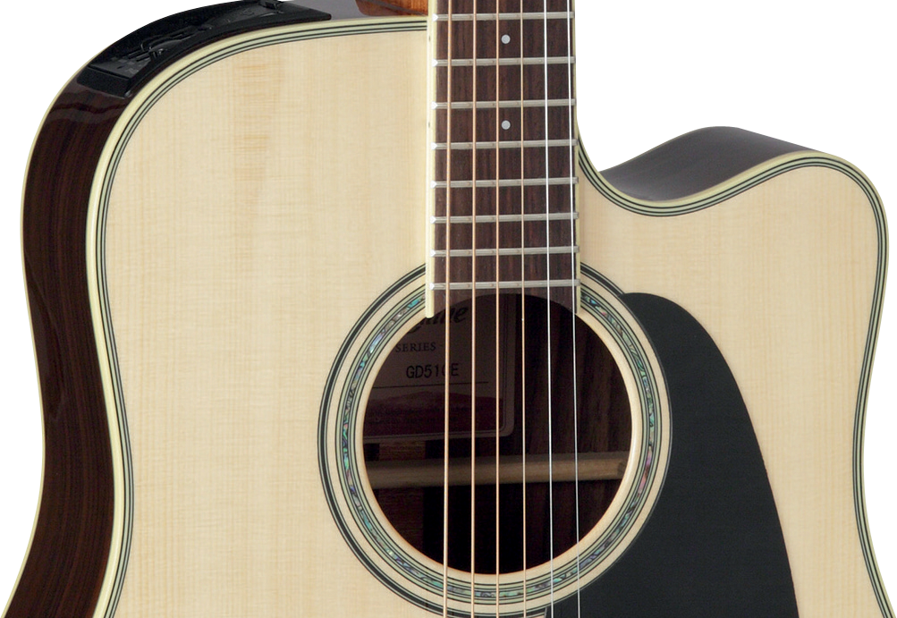 Takamine Lookout