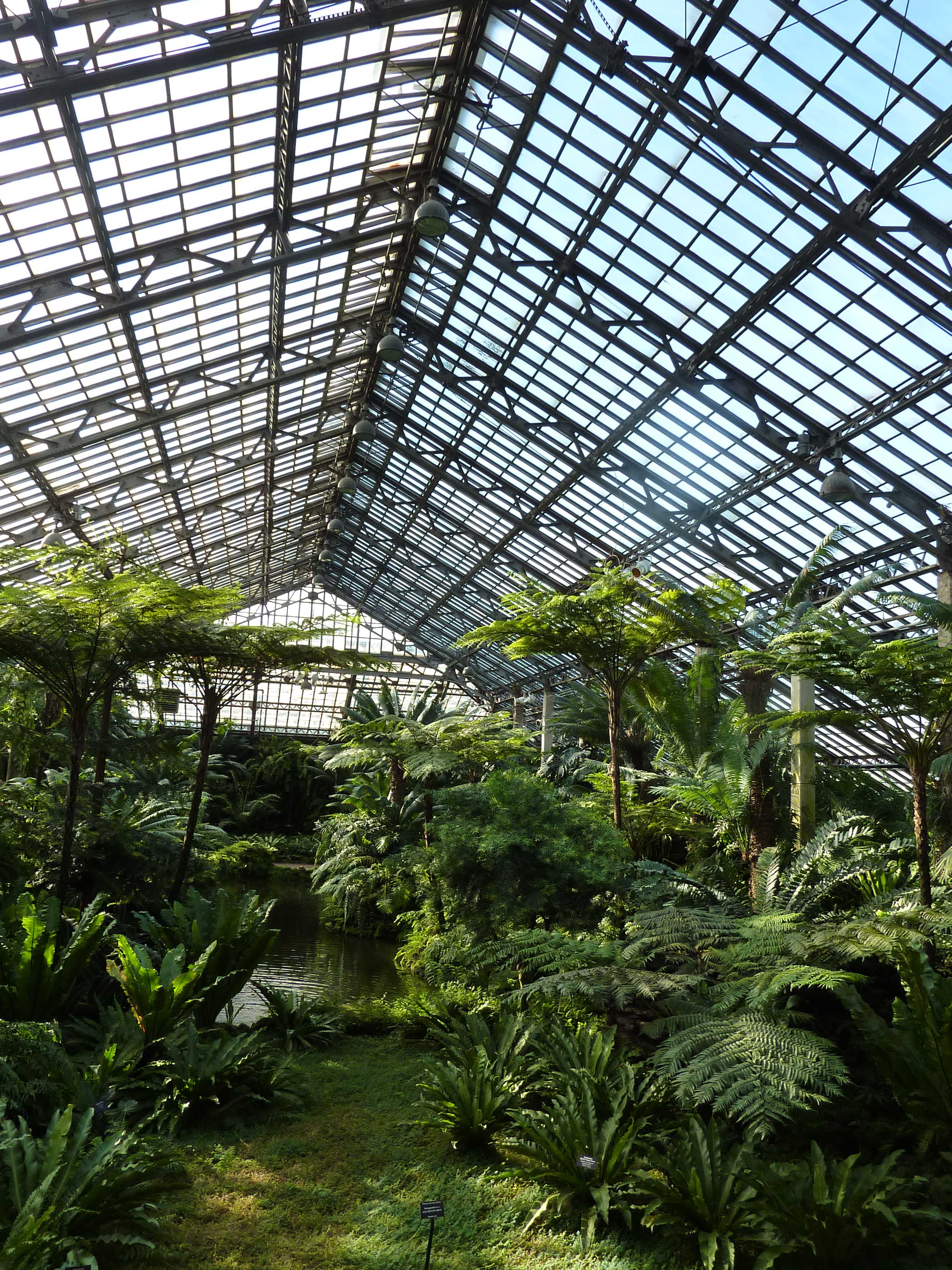 Plant Conservatory